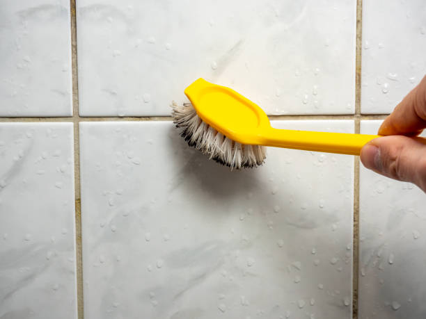 Best Toxic Mold Removal  in Moses Lake North, WA