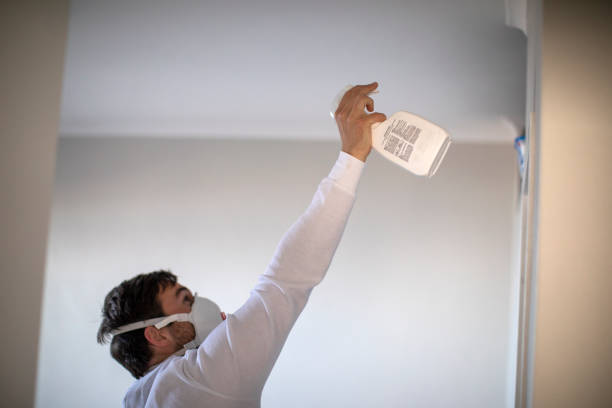 Best Home Mold Removal  in Moses Lake North, WA
