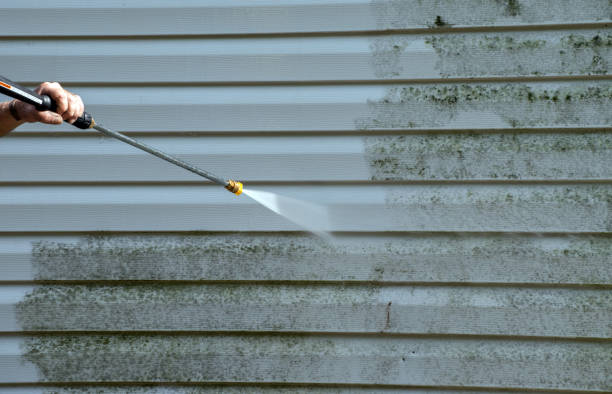 Mold Testing and Removal in Moses Lake North, WA