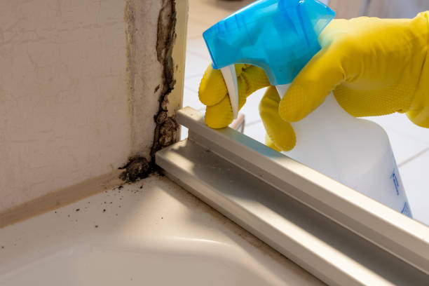 Best Crawl Space Mold Removal  in Moses Lake North, WA